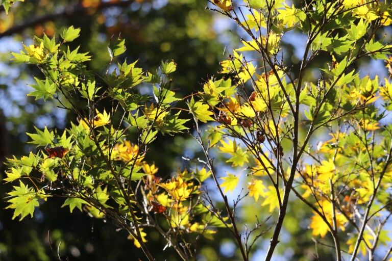 10/24 Ë̗lqEgt2025yV\sz