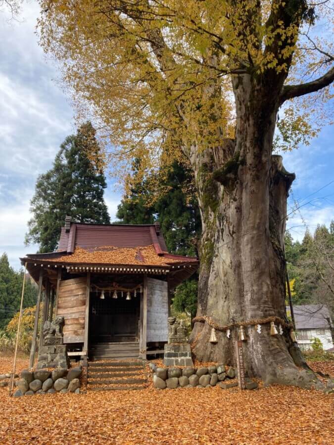 11/13 ԒJ\ PL̍gtƓ̉w ďyV\sz