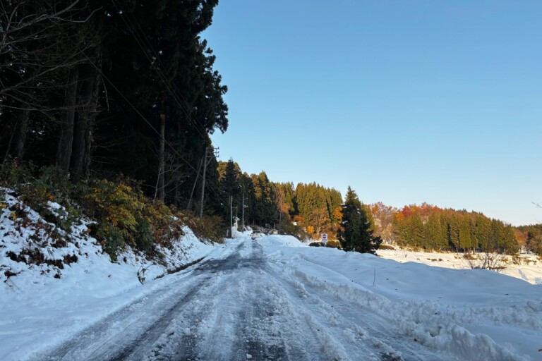 �����Ղ菉��ƁA�܂����̒I�c�y�V�����\�����s����z