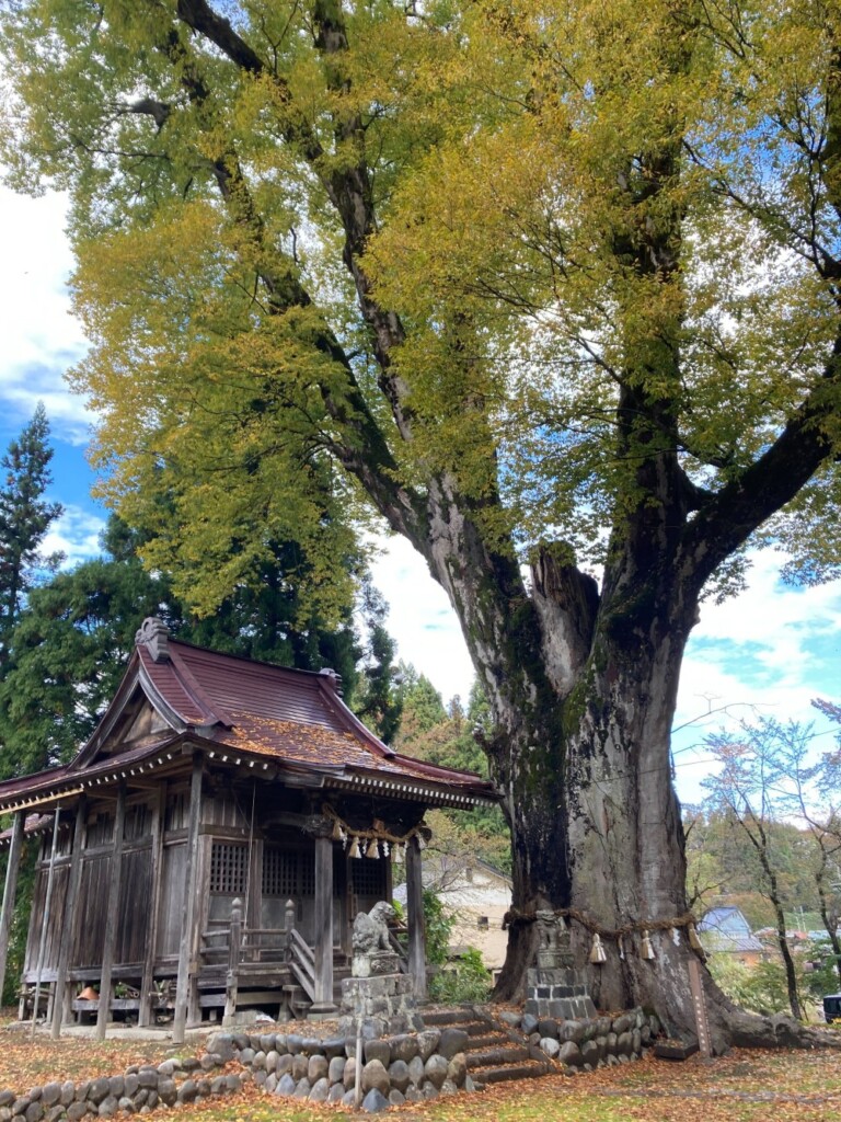 쐼GAH̗lqbԒJ\ PL̍gtn܂Ă܂yV\sz