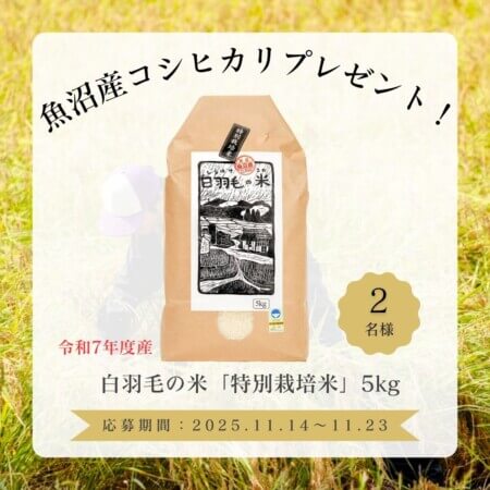 Xv[gLy[JÒItH[|XgŋYVăRVqJ𓖂Ă悤IyV\sz