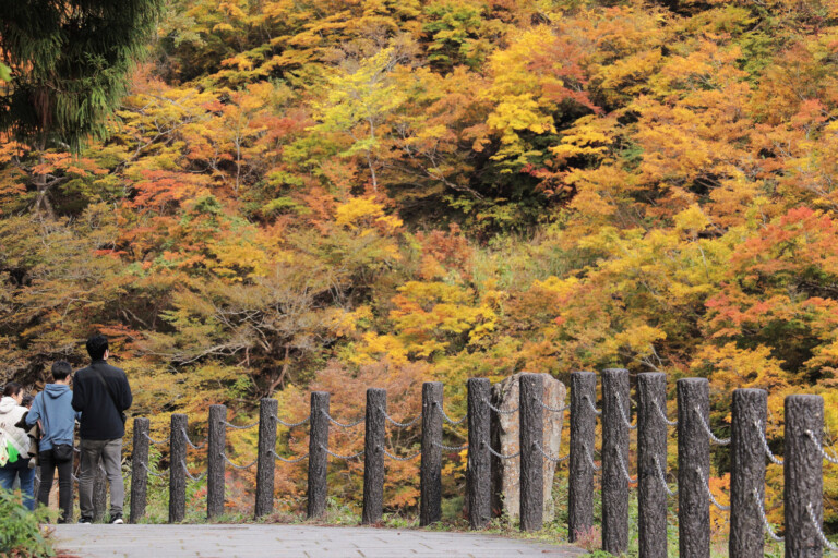 11/8 Ë̍gts[NI2025NH̗lqyV\sz