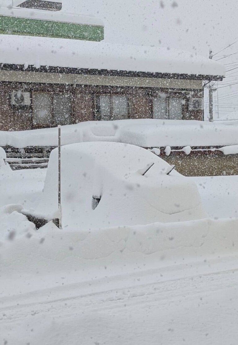 �Œ����g�������B�\�����s�̐�̗l�q�y�V�����\�����s�E2026�N�z