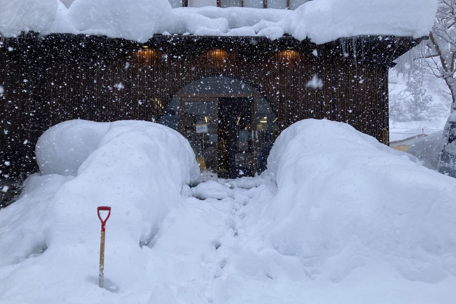 清津峡の雪の様子は？【新潟県十日町市・2026年】 | 十日町市観光協会
