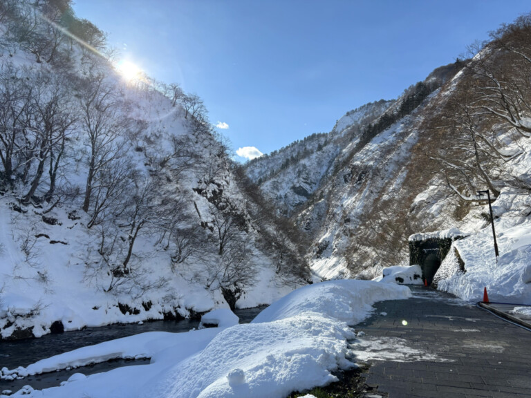 ���g�����A���̊Ԃ̐���B���Ë��̗l�q�y�V�����\�����s�E2026�N�z