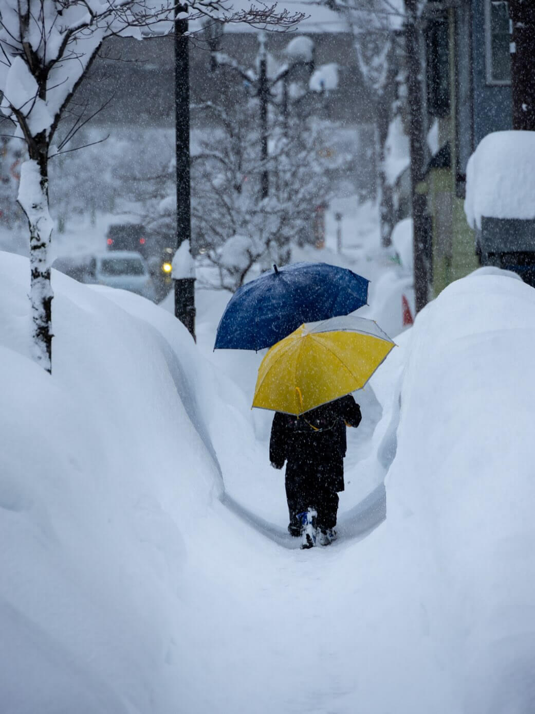最長寒波到来中。十日町市の雪の様子【新潟県十日町市・2026年
