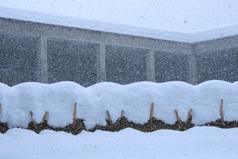 ���������̐�ƃA�[�g�I���O���W�u�z�������h�E�[Snow Meeting�v�J�Ò��y�V�����\�����s�E2026�N�z