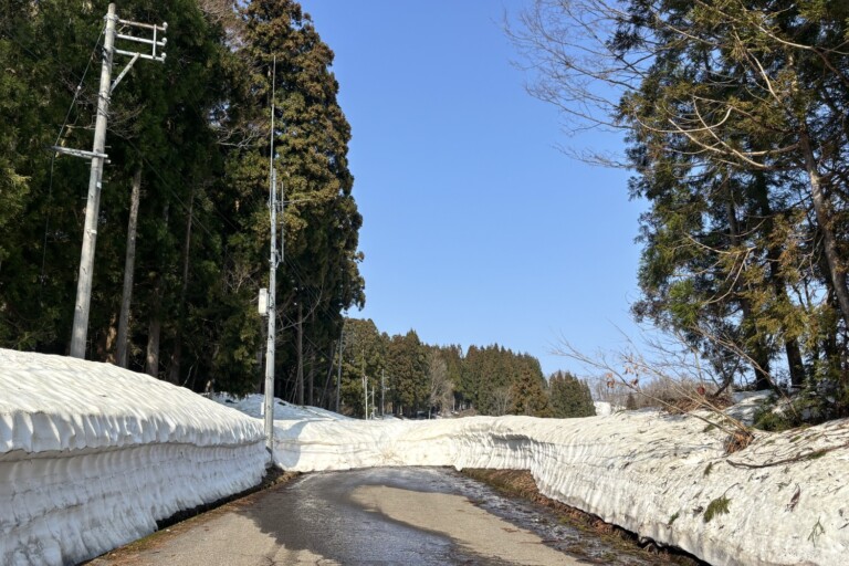 3/28 �܂����n��I�c�̂悤���y�V�����\�����s�z