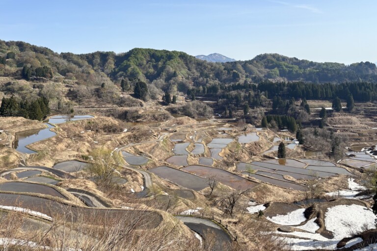 4/17 �܂����n��I�c�̗l�q�y�V�����\�����s�z