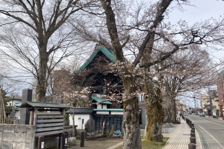 4/6 �Ⴊ�c��\�����s�B���̊J�ԏ󋵂́I�H�y�V�����\�����s�z