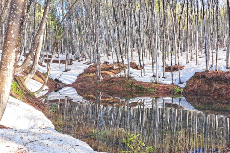 4/8 �������̐�i�I�Ⴊ�c����l�тŉ萁���n�܂�y�V�����\�����s�z