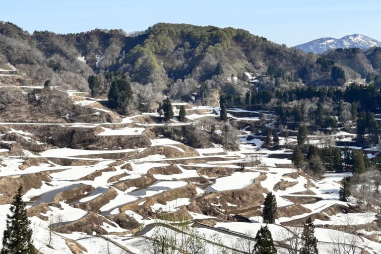 4/9 �܂����n��I�c�̗l�q�y�V�����\�����s�z