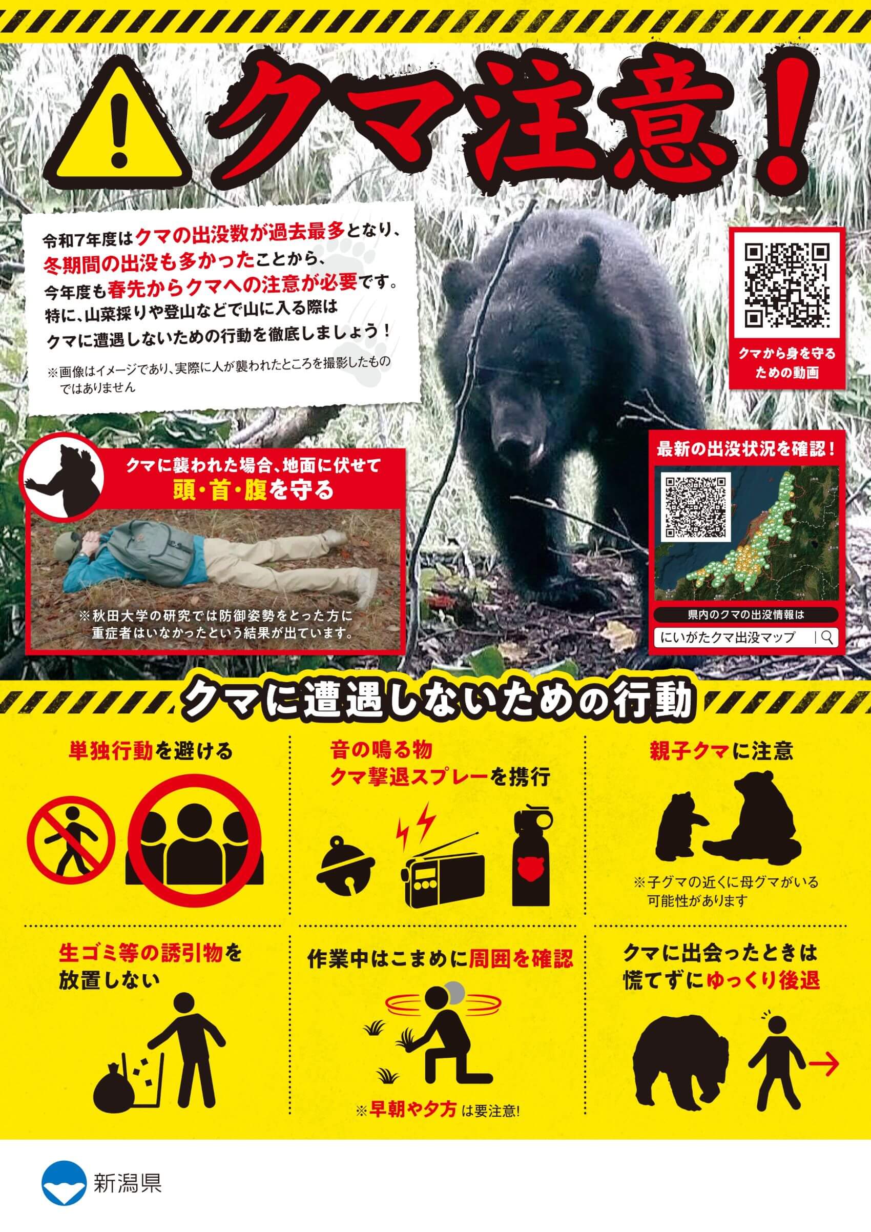 クマ出没にご注意ください【新潟県十日町市・2026年】 | 十日町市観光協会 クマ出没にご注意ください【新潟県十日町市・2026年】 | 十日町市観光協会
