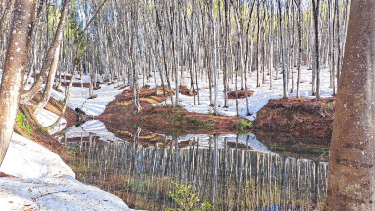 �ፑ�̏t�͒x��Ă���Ă���B�V�����\�����s�̏t���W�܂Ƃ߁y2026�N�Łz