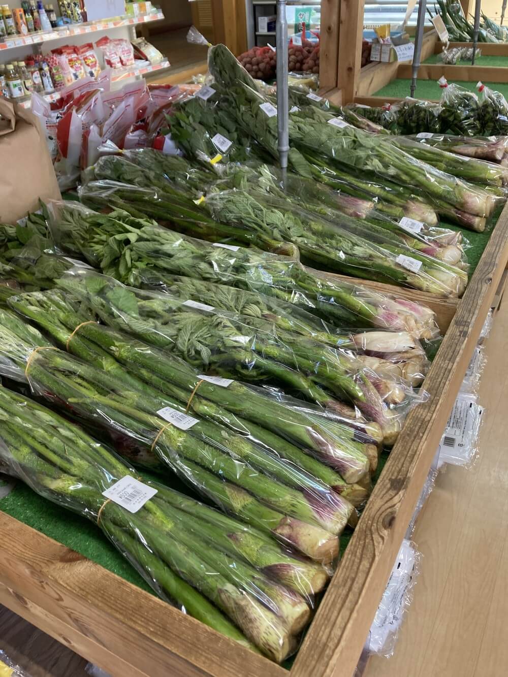 道の駅 瀬替えの郷せんだでGWの「せんだ山菜フェア」始まりました