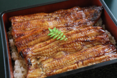 網元なか田のウナギは絶品